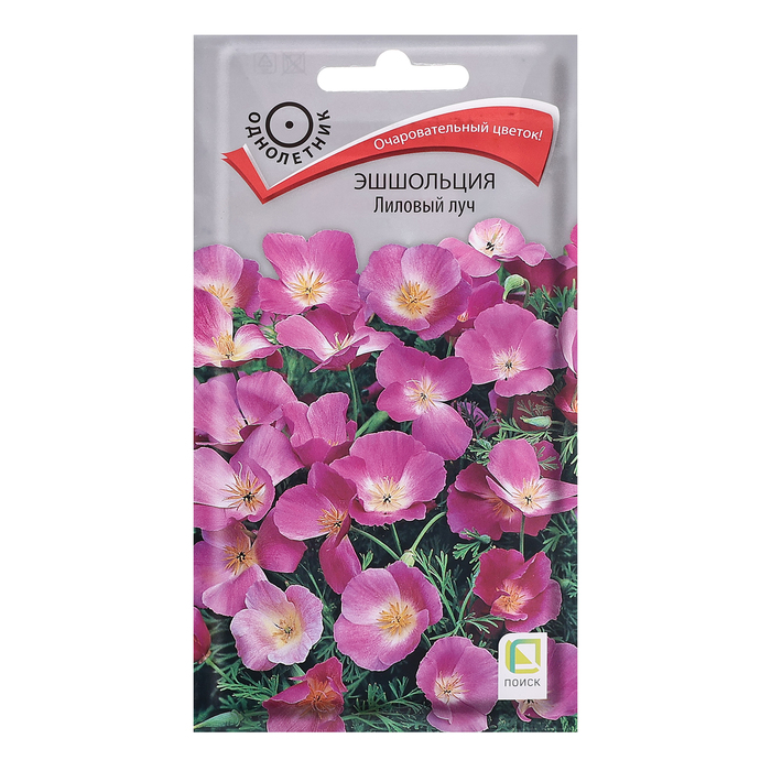 Эшшольция Лиловый луч
