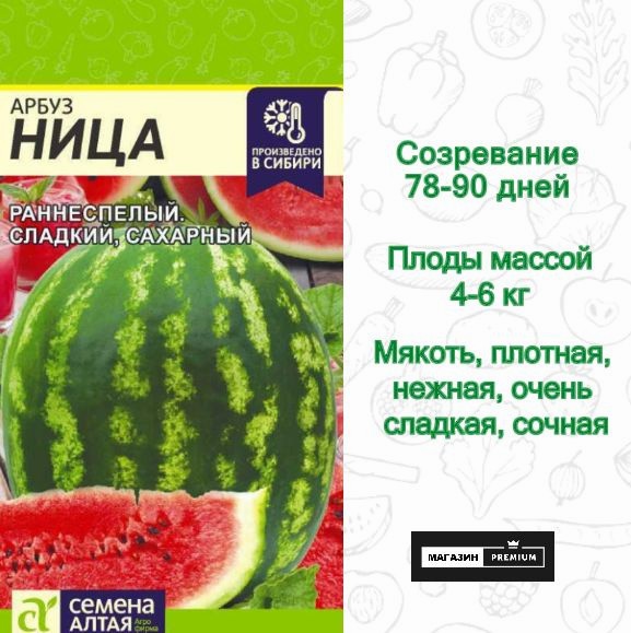 Семена Арбуз Ница